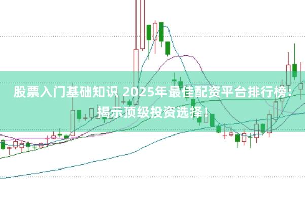 股票入门基础知识 2025年最佳配资平台排行榜：揭示顶级投资选择！