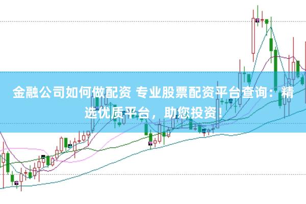金融公司如何做配资 专业股票配资平台查询：精选优质平台，助您投资！