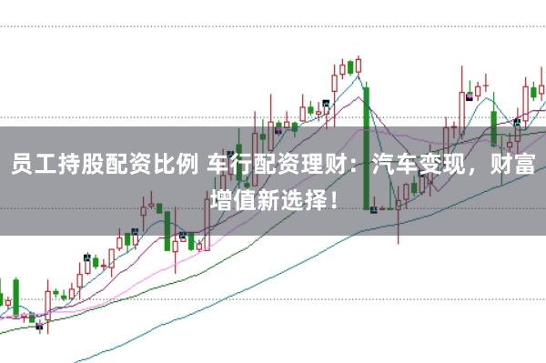 员工持股配资比例 车行配资理财：汽车变现，财富增值新选择！