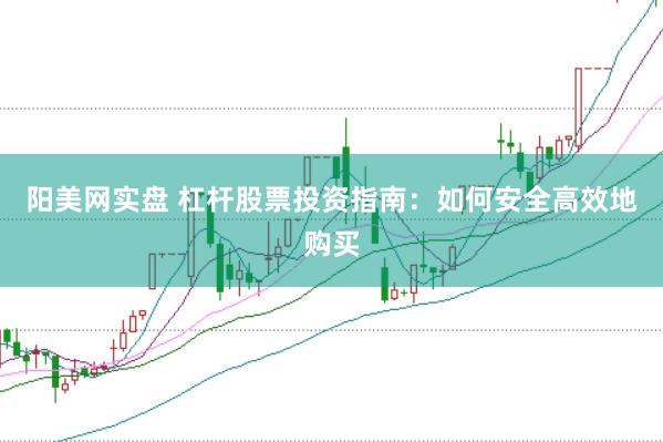 阳美网实盘 杠杆股票投资指南：如何安全高效地购买