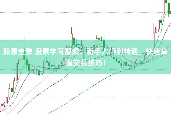 股票金融 股票学习视频：新手入门到精通，快速掌握交易技巧！