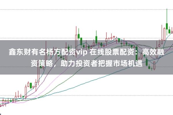 鑫东财有名杨方配资vip 在线股票配资：高效融资策略，助力投资者把握市场机遇