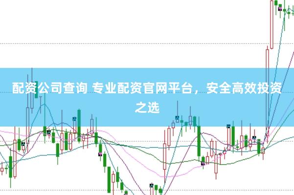 配资公司查询 专业配资官网平台，安全高效投资之选