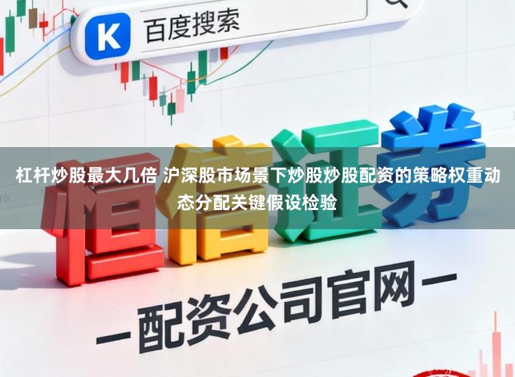 杠杆炒股最大几倍 沪深股市场景下炒股炒股配资的策略权重动态分配关键假设检验