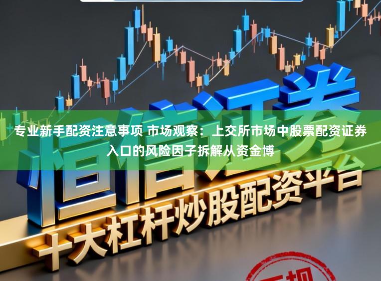 专业新手配资注意事项 市场观察：上交所市场中股票配资证券入口的风险因子拆解从资金博