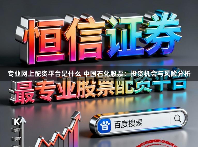 专业网上配资平台是什么 中国石化股票：投资机会与风险分析